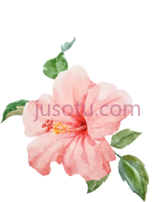 热带花卉PNG