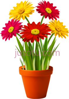 花盆, PNG