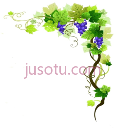 葡萄藤边PNG