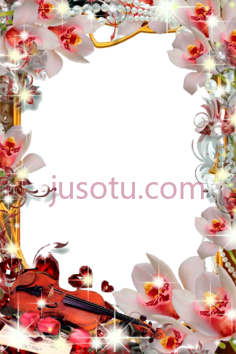 金框,相框 PNG