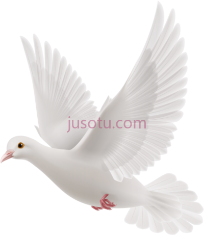 鸽子,banner black and white library bells dove PNG