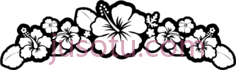 黑白花木槿,border PNG