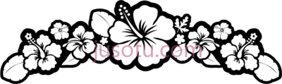 黑白花木槿,flower black and white hibiscus PNG