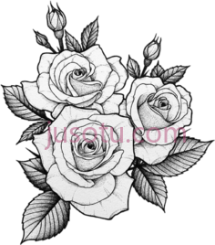 玫瑰纹身,two tattoo PNG