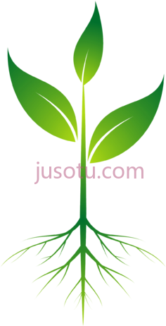植物根PNG