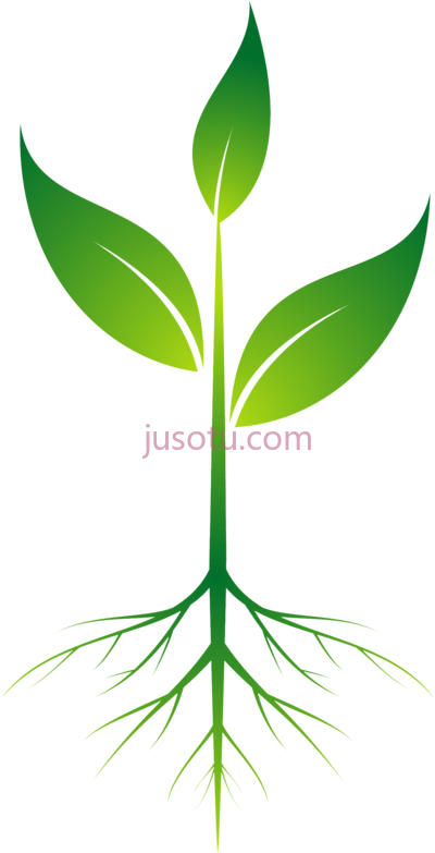 植物根,root plant art PNG