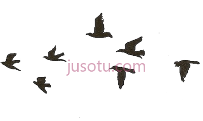 飞鸟,flying birds PNG