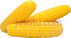 玉米PNG