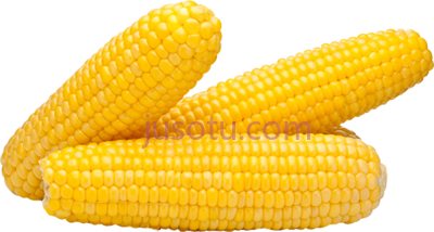 玉米,maize PNG