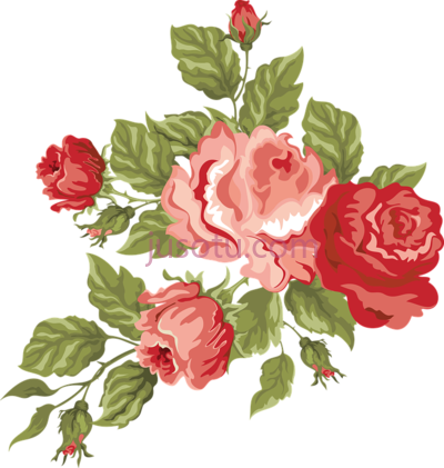粉红色花,red flowers pink PNG