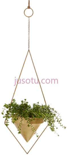 悬挂式室内植物PNG