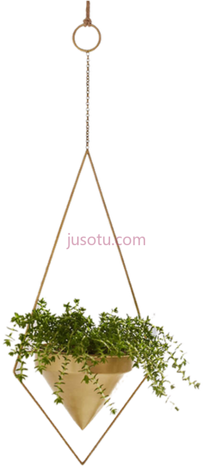 悬挂式室内植物,hanging indoor plants PNG