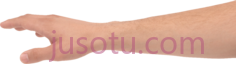 抓手, PNG