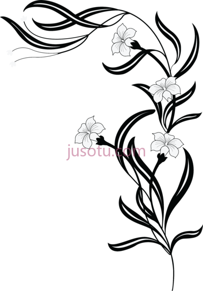 藤蔓植物,floral flowers leaves and buds on vines PNG