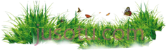 草花PNG