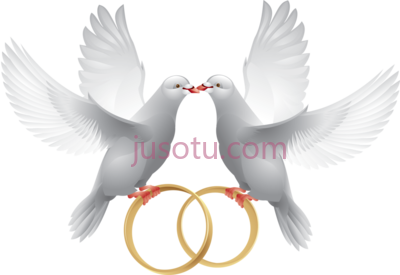 结婚鸽,marriage dove wedding ring PNG