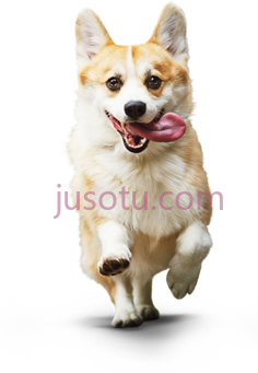 威尔士柯基犬PNG