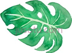 热带树叶,水彩 PNG