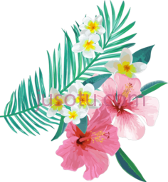 热带植物花叶, PNG