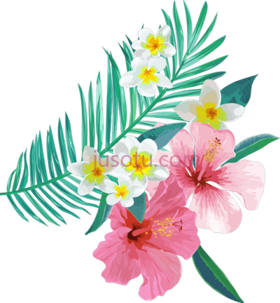 热带植物花叶,tropical leaves flowers plants PNG