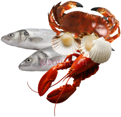 海鲜鱼,fish and seafood PNG