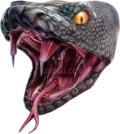 蛇头,snake head PNG