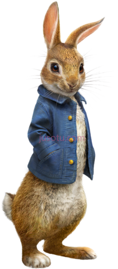 兔子彼得,peter rabbit PNG