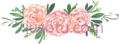 水彩牡丹花,water color PNG