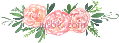 水彩牡丹花,watercolor peonies peony floral PNG
