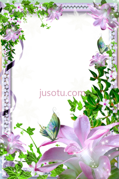 花架,icons beautiful flower frames PNG