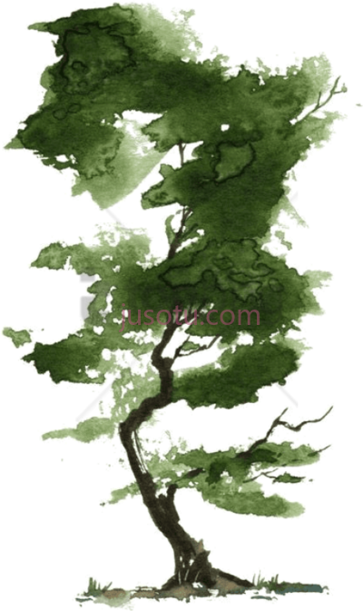 水彩树,little watercolor trees PNG