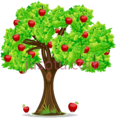 苹果树PNG