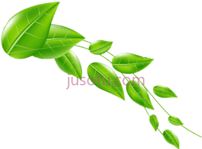 绿叶,daun 4 header PNG