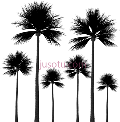 棕榈树,palm tree silhouettes PNG
