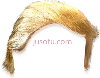 唐纳德·特朗普头发,donald trump hair cut out PNG