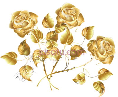 金花,golden flower PNG