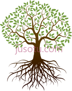 树根树枝PNG