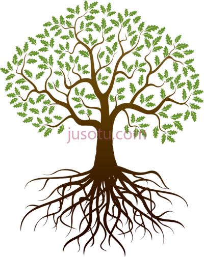 树根树枝,tree root arbol con raices dibujo PNG