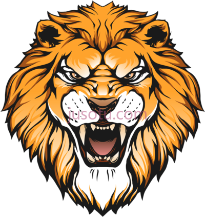 狮子头,lion head PNG