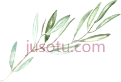 橄榄枝PNG
