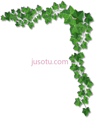 常春藤花边,library sabbath page PNG