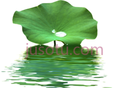 荷叶水波PNG