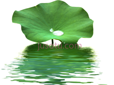 荷叶水波,this product lotus leaf water wave PNG