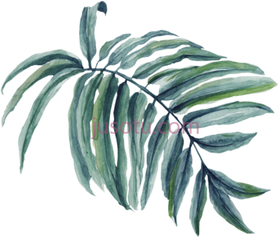棕榈枝,significance palms and cloaks PNG