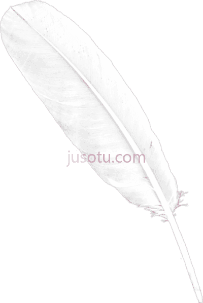 白羽毛,feather white PNG
