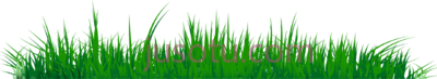 草,grass 07 art PNG
