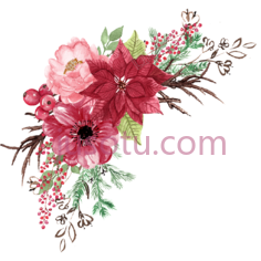 红色水彩花卉PNG