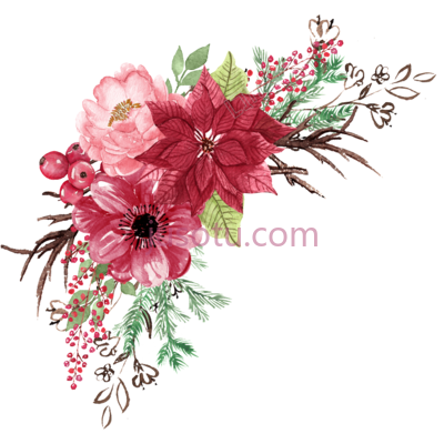 红色水彩花卉,banner flowers matting PNG