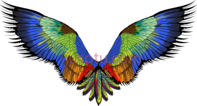 天使翅膀,angel wings she flies square PNG