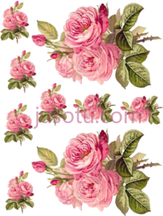 粉红色花,pink PNG